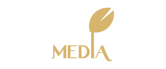 media